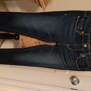 American Eagle Outfitters Dark Blue Skinny Jeans
